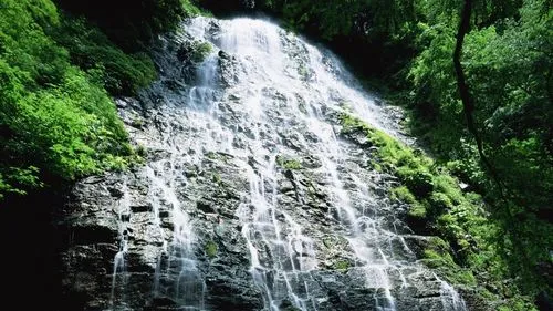 高标准科技