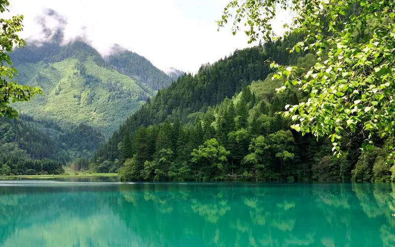 高效高效高端